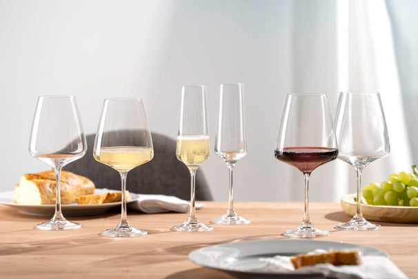 Set de copas de vino Leonardo (Copas de vino tinto + Copas de vino blanco + Copas de champán) - Paladino - Set de 12 piezas