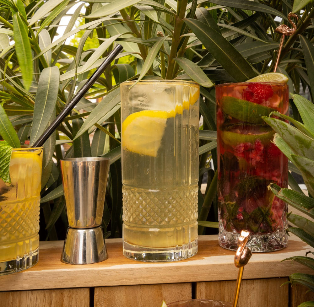 Vasos Longdrink Cookinglife Monea - 290 ml - 2 unidades