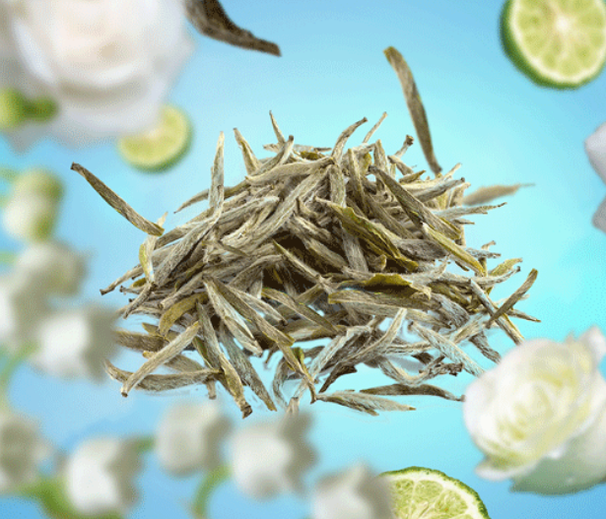 Recarga Maison Berger - para quemador de fragancia - Té Blanco Puro - 1 Litro